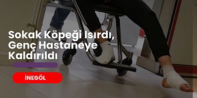 İnegöl’de Sokak Köpeği Isırdı, Genç Hastaneye Kaldırıldı