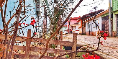 İnegöl’de Şubat ayında ağaçlar çiçek açtı