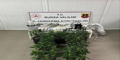 İnegöl'de uyuşturucu operasyonu: Evde esrar üretim düzeneği ele geçirildi