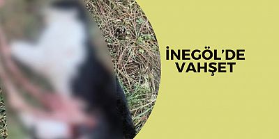 İnegöl’de vahşet