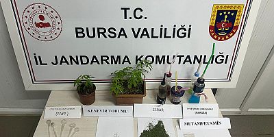 İnegöl'de yasa dışı kenevir ekimi operasyonunda bir şüpheli yakalandı