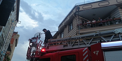 İNEGÖL’DE YAVRU KEDİ OPERASYONU