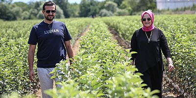 İnegöl’de  yıllık 1 milyon fidan üreten girişimci çift elektriğe para harcamıyor