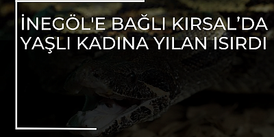 İnegöl'e bağlı kırsal’da Yaşlı kadına Yılan ısırdı 