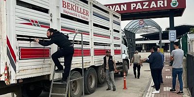 İnegöl'e gelen kurbanlıkların girişi sıkı denetim altında