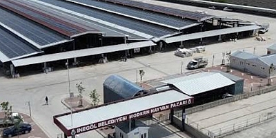 İnegöl Hayvan Pazarı 2 Ay Sonra Yeniden Açılıyor
