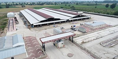 İnegöl Hayvan Pazarı geçici olarak kapatıldı