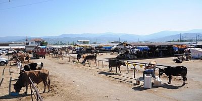 İnegöl Hayvan Pazarı Kotraları Satışa Çıkıyor