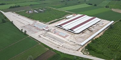 İnegöl hayvan pazarına kurbanlıklar gelmeye başladı