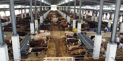 İnegöl hayvan pazarının kotra ihale tarihi belli oldu