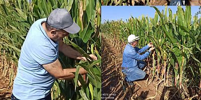 İnegöl kırsalında ‘sürvey’ çalışmaları devam ediyor
