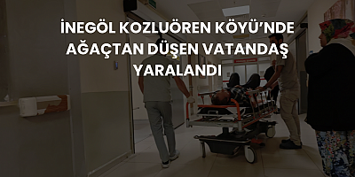 İnegöl Kozluören Köyü’nde Ağaçtan Düşen Vatandaş Yaralandı