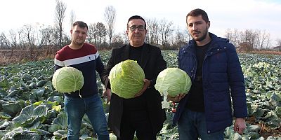 İnegöl'lü çiftçiler isyan etti 