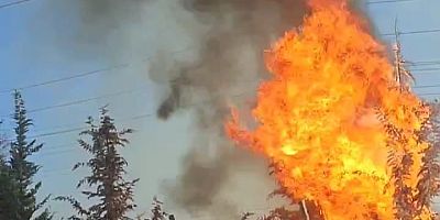 İnegöl OSB’de Kuru Ot Yangını: Güvenlik Görevlisi Faciayı Önledi