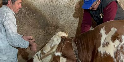 İnegöl'ün köylerinde o işlem yeniden başladı 