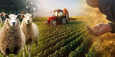 İnegöllü çiftçilere uyarı; son tarih 31 Aralık