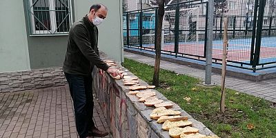 İnegöllü muhtar, çöpe atılan ekmekleri sokak hayvanları için değerlendiriyor