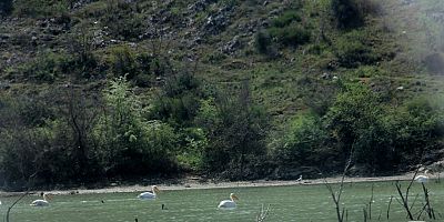 İNSANLAR EVDE KALINCA DOĞA KENDİNİ TEMİZLİYOR