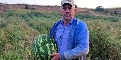 İstanbul Büyükşehirdeki yöneticilik kariyerinden vazgeçip baba ocağında çiftçi oldu
