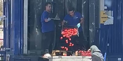 İstanbul’da Zincir markette kasalar dolusu domates çöpe döküldü, o anlar tepki topladı