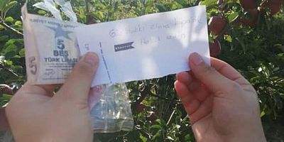 İZİNSİZ TOPLADIKLARI ELMALAR İÇİN PARA VE NOT BIRAKTILAR