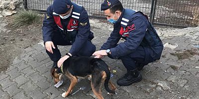 JANDARMA ASAYİŞ EKİPLERİ HAREKETE GEÇTİ