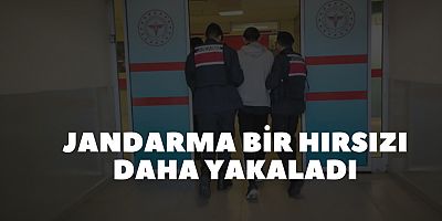 Jandarma bir hırsızı daha yakaladı