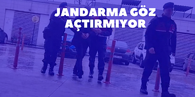 Jandarma göz açtırmıyor 