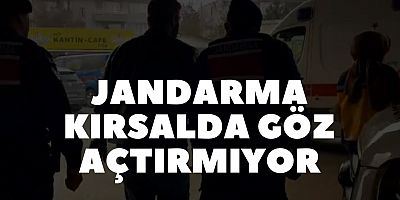 Jandarma kırsalda göz açtırmıyor
