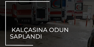 Kalçasına odun saplandı