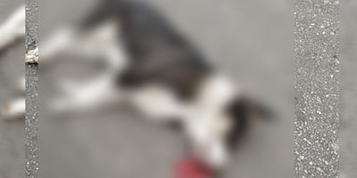 KANLAR iÇERiSiNDE BIRAKIP KAÇTI