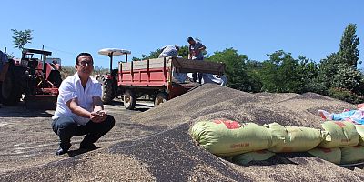 KANOLA HASADI BAŞLADI