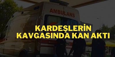 KARDEŞLERİN KAVGASINDA KAN AKTI
