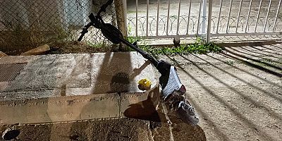 Kazadan sonra taburcu oldu, 3 gün sonra hayatını kaybetti