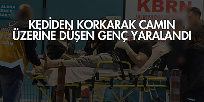 Kediden korkarak camın üzerine düşen genç yaralandı