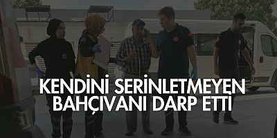 Kendini serinletmeyen bahçıvanı darp etti