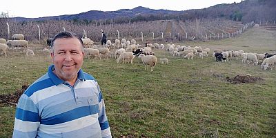 KESİM İÇİN HAYVAN BULAMAYAN KASAPLAR KENDİ ÇİFTLİĞİNİ KURDU