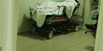 KESTANE AĞACINDAN DÜŞTÜ