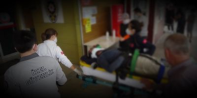 Kestiği ağaç üzerine devrilen kişi yaralandı