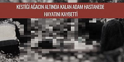 Kestiği ağacın altında kalan adam hastanede hayatını kaybetti