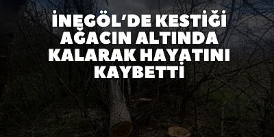 KESTİĞİ AĞACIN ALTINDA KALARAK HAYATINI KAYBETTİ