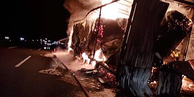 Kırklareli'nde kağıt havlu taşıyan tır yandı