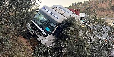 Kocaeli'de yoldan çıkan tırın sürücüsü yaralandı
