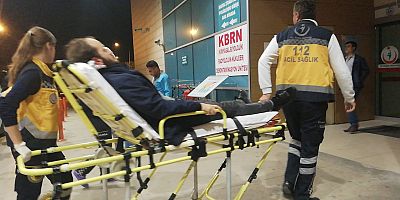 KONTROLDEN ÇIKAN ARAÇ AĞACA ÇARPTI; 1 YARALI