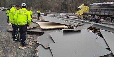 Kontrolden çıkan tırdaki suntalar yola saçıldı