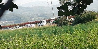 Kontrolden çıkarak ağaca çarpan otomobilde 2 kişi yaralandı