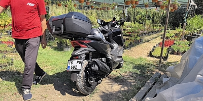 Köpeğe çarpan motosikletli yaralandı
