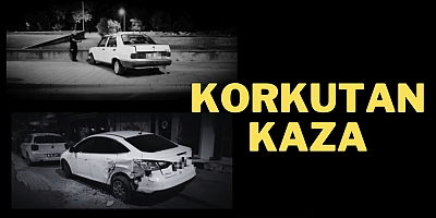 köpeğe çarpmamak için park halindeki araca çarptı