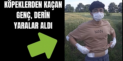 Köpeklerden kaçan genç, derin yaralar aldı