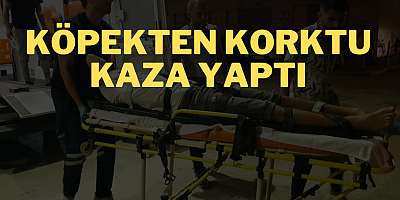 Köpekten korktu kaza yaptı 
